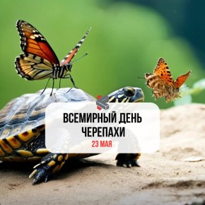 #.    ! @Kirov_grad