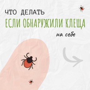 4     -  