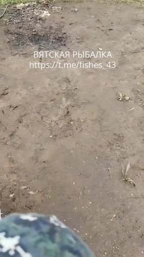   -  .. -     