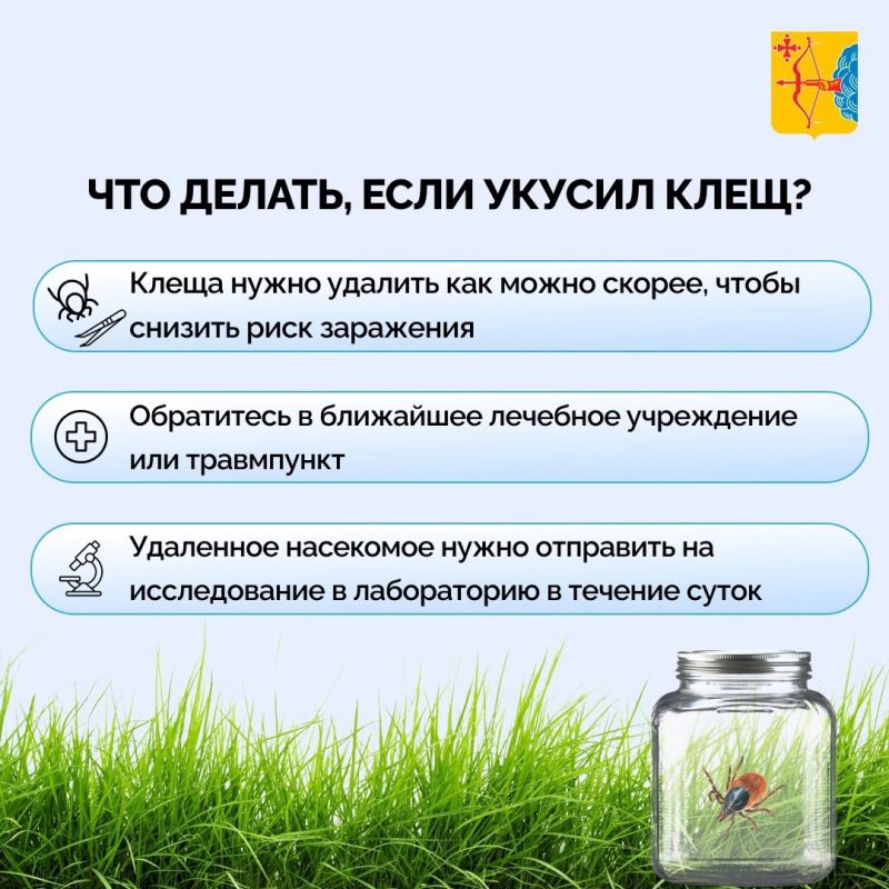 В мае – июне фиксируется наиболее высокая активность клещей