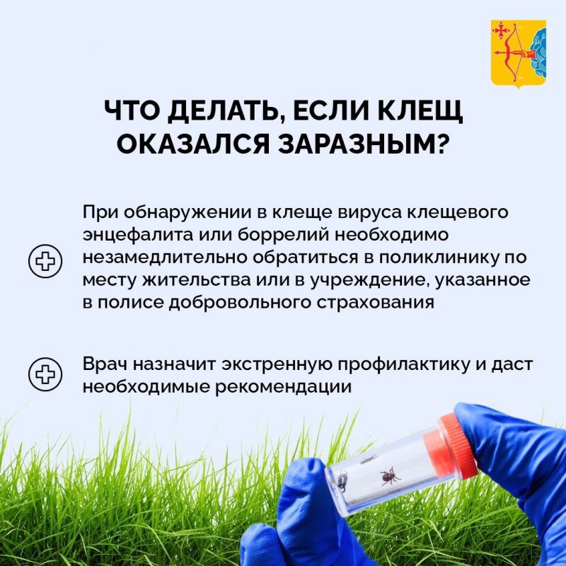 В мае – июне фиксируется наиболее высокая активность клещей