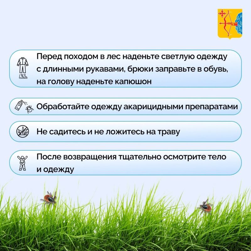 В мае – июне фиксируется наиболее высокая активность клещей