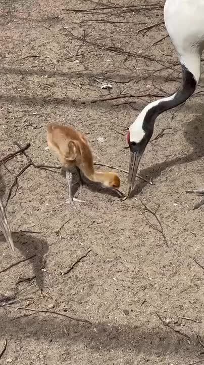 #.       
