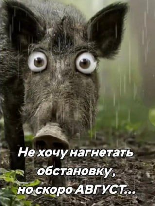 #. @Kirov_grad