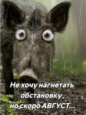 #. @Kirov_grad