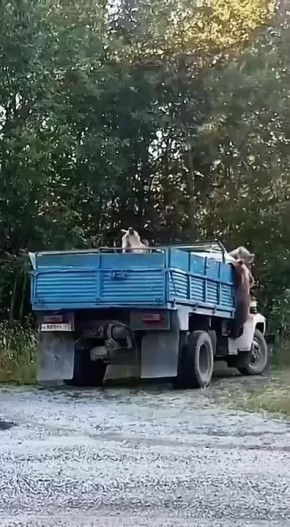 #.   