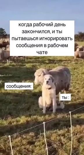 #.     ! @Kirov_grad