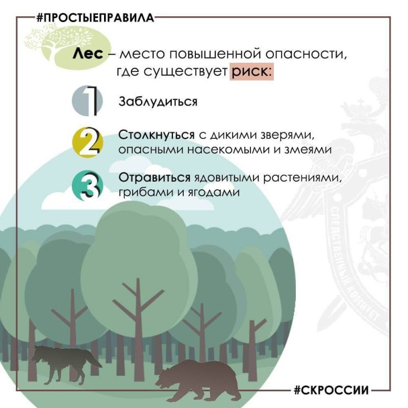 Региональное следственное управление предупреждает: соблюдайте меры безопасности при сборе грибов и ягод