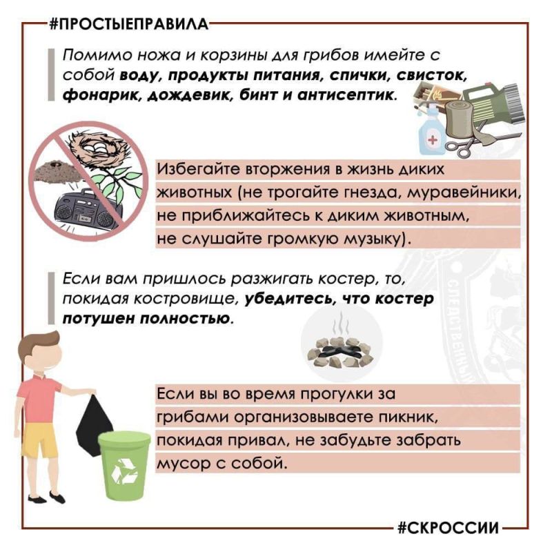 Региональное следственное управление предупреждает: соблюдайте меры безопасности при сборе грибов и ягод