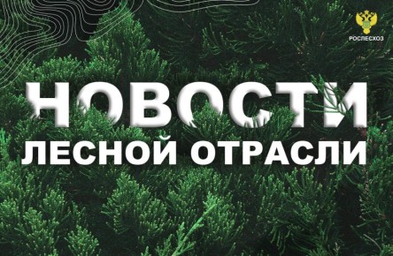 ТАСС: В СФ поддержали инициативу о софинансировании субъектами работ по учету лесов