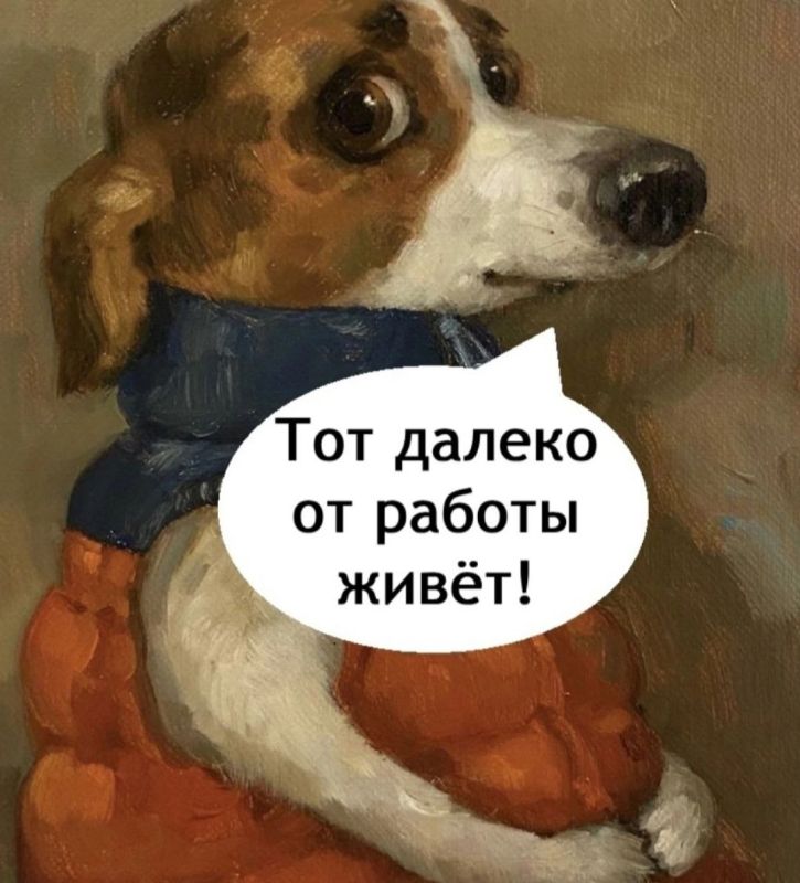 #шуткадня. @Kirov_grad