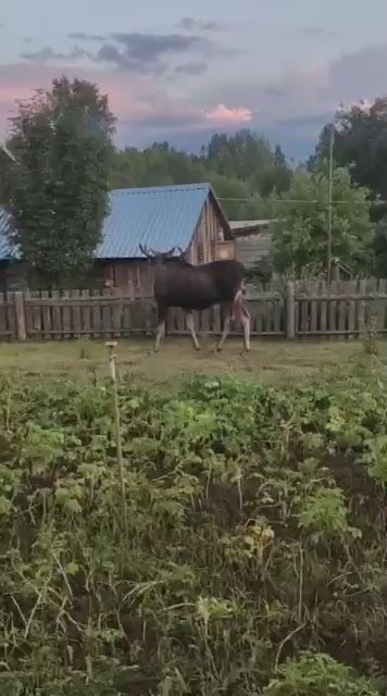 #.     