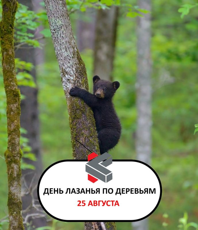 #.  ! @Kirov_grad