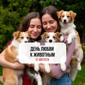 #.      ! @Kirov_grad