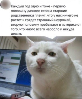 #. @Kirov_grad