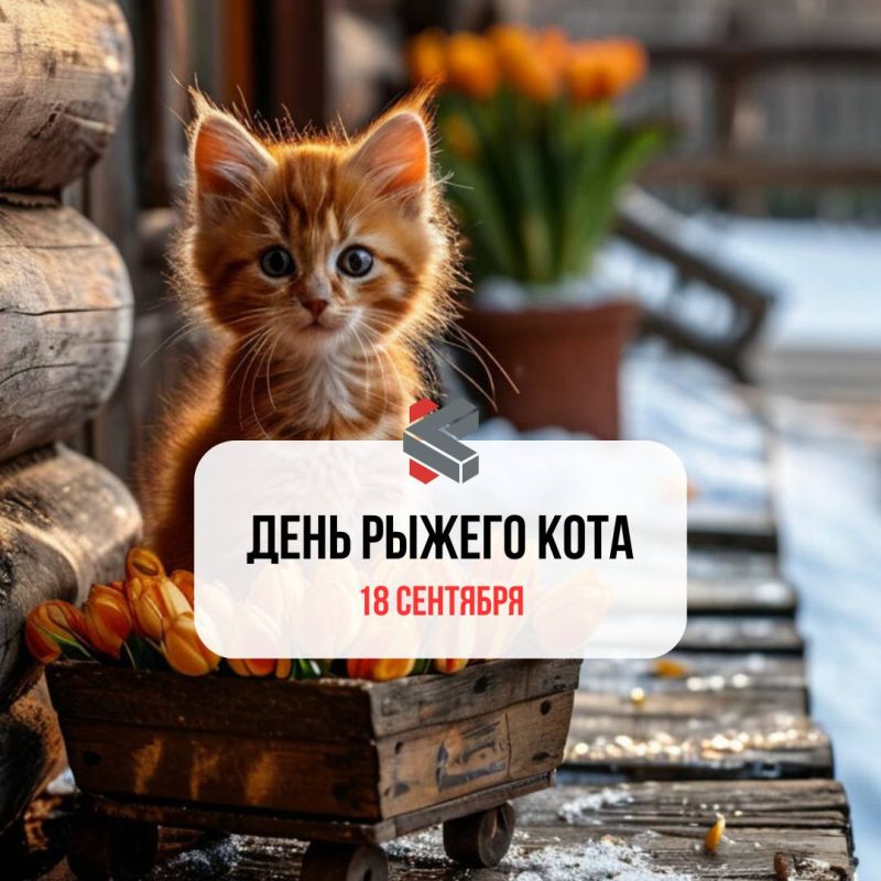 #.     ! @Kirov_grad