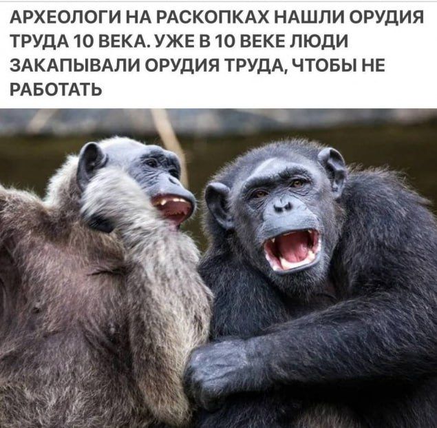 #. @Kirov_grad