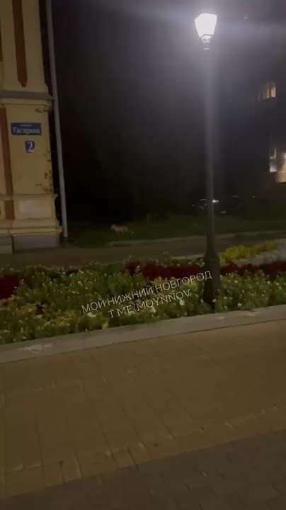 #.       ,    ,    ,     