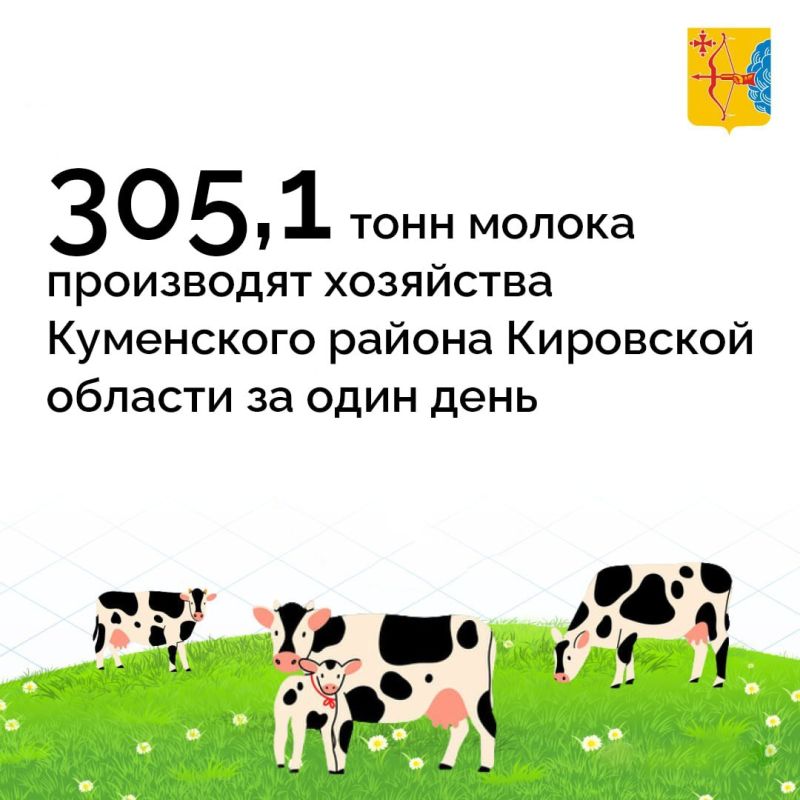 305,1          