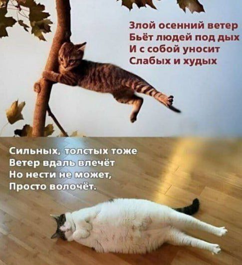 #. @Kirov_grad