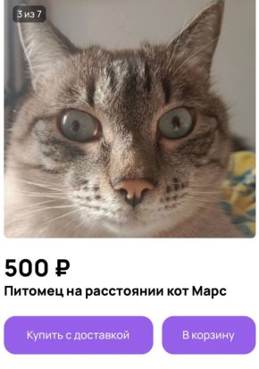   :        500   
