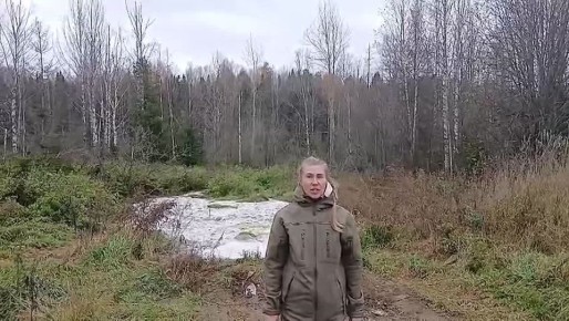        ( )    
