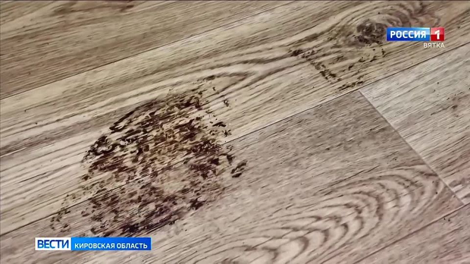 Сегодня 71-летие со дня образования отмечает криминалистическая служба Следственного комитета Российской Федерации