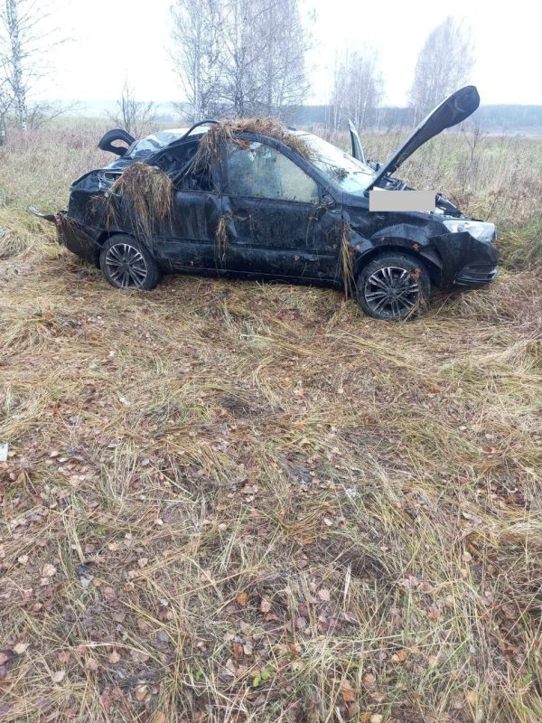 Информация носит предварительный характер