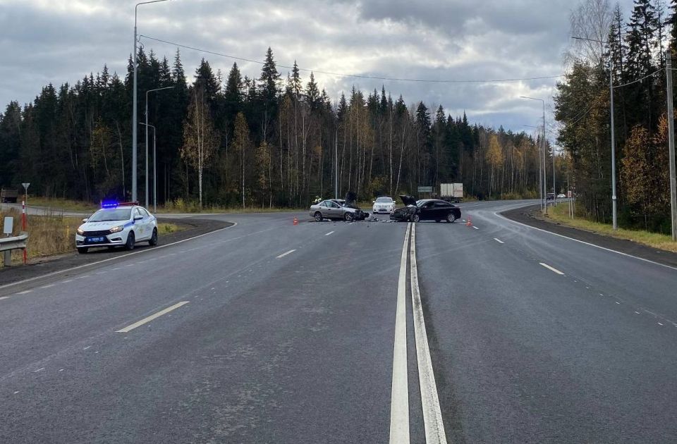 Информация носит предварительный характер