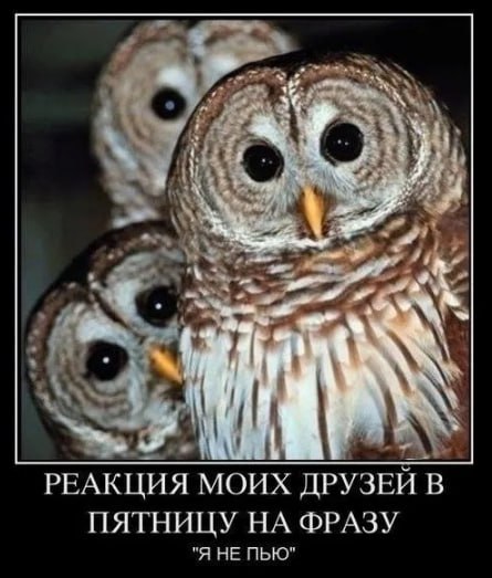 #шуткадня. @Kirov_grad