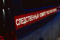 Следственное управление СК России по Кировской области напоминает об ответственности несовершеннолетних за совершение преступлений в сфере незаконного оборота наркотиков
