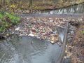 От подписчика:. В субботу решил дойти до р. Хлыновки