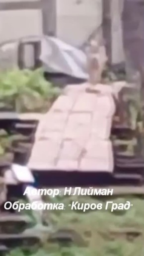 Выходишь из дома и видишь волка