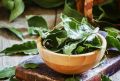 Как лавровый лист может изменить вашу жизнь: секреты, о которых вы не слышали