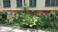 Устойчивые цветы для зимнего оформления пространства у подъезда