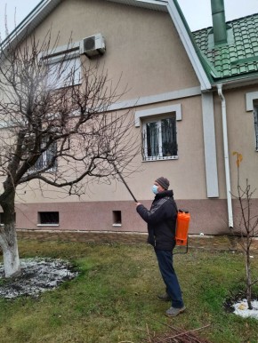 Время обрабатывать фруктовые деревья весной: советы для садоводов