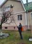 Время обрабатывать фруктовые деревья весной: советы для садоводов