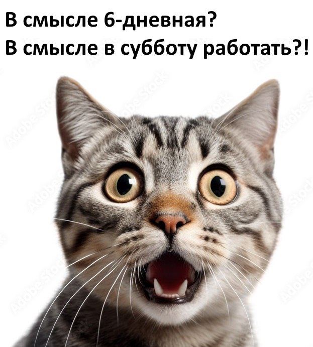 #шуткадня. @Kirov_grad