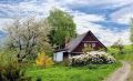 Дачникам раскрыли, что обязательно держать в аптечке