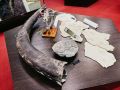 Кировскому музею подарили бивень мамонта в разрезе
