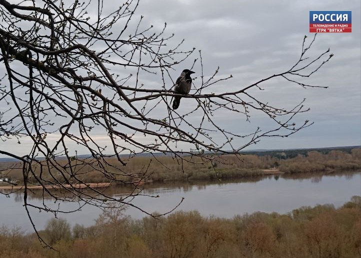 В среду, 29 октября, в Кировской области ожидается облачная с прояснениями погода, дождь, сообщили в региональном центре по гидрометеорологии и мониторингу окружающей среды