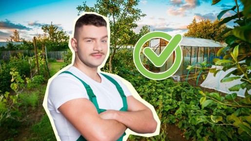 Овощи от такого удобрения попрут как на дрожжах: внесите в почву при перекопке