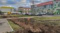 На улицах Кирова продолжается осенняя посадка деревьев и кустарников