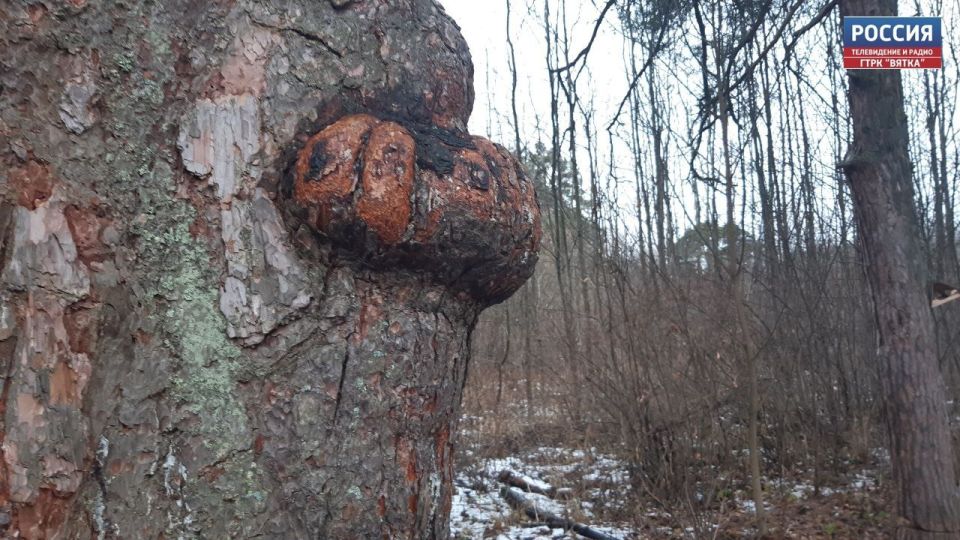  , 2 ,        ,     ,          