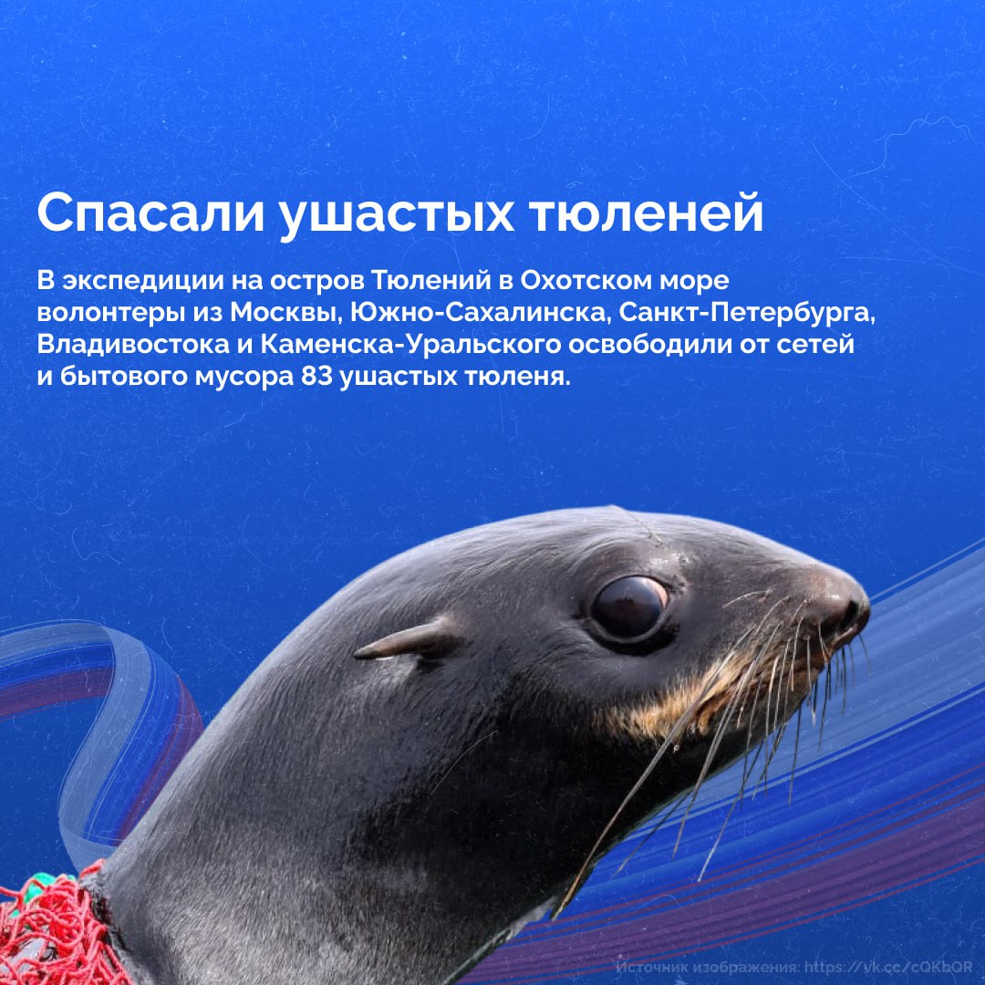 День народного единства — это не только память о прошлом, но и напоминание о силе настоящего День народного единства — это не только память о прошлом, но и напоминание о силе настоящего