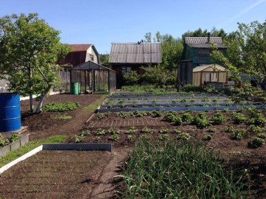 Новые требования к владельцам земли: как избежать штрафов и сохранить участок в порядке