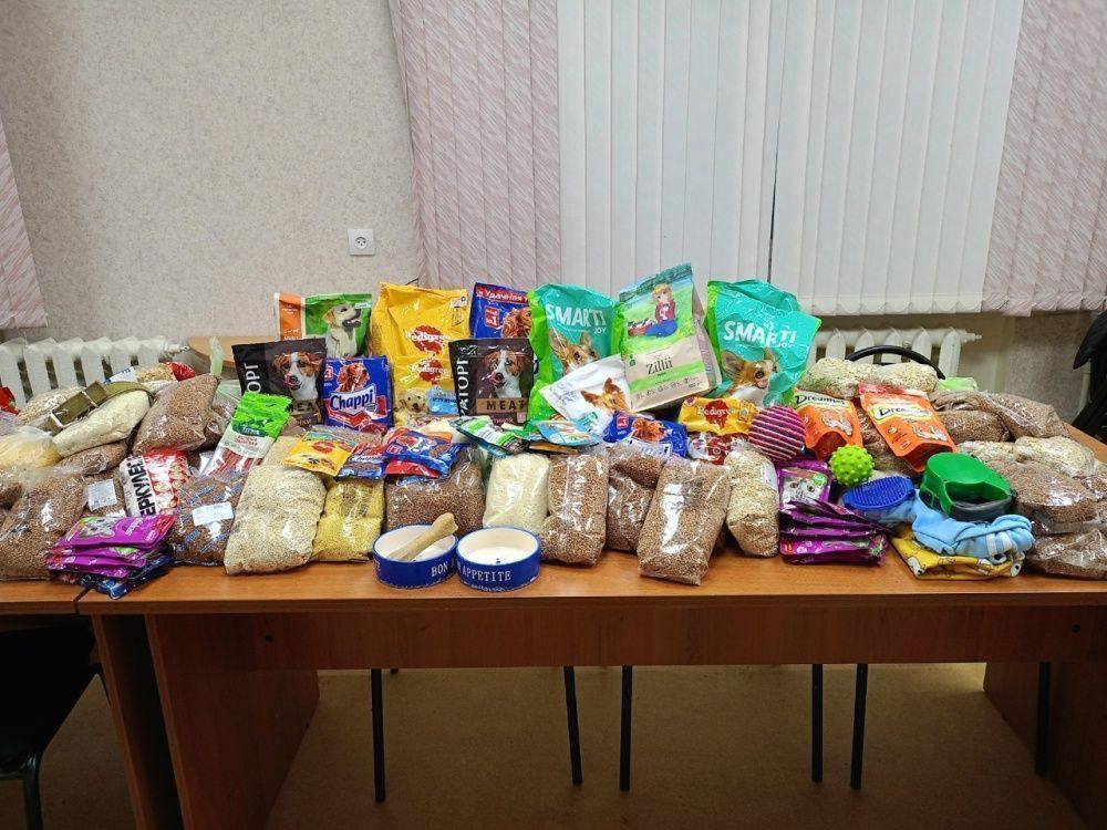 Кировчане собрали более 140 кг корма для бездомных животных