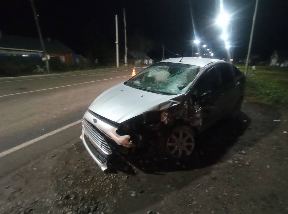 Информация носит предварительный характер