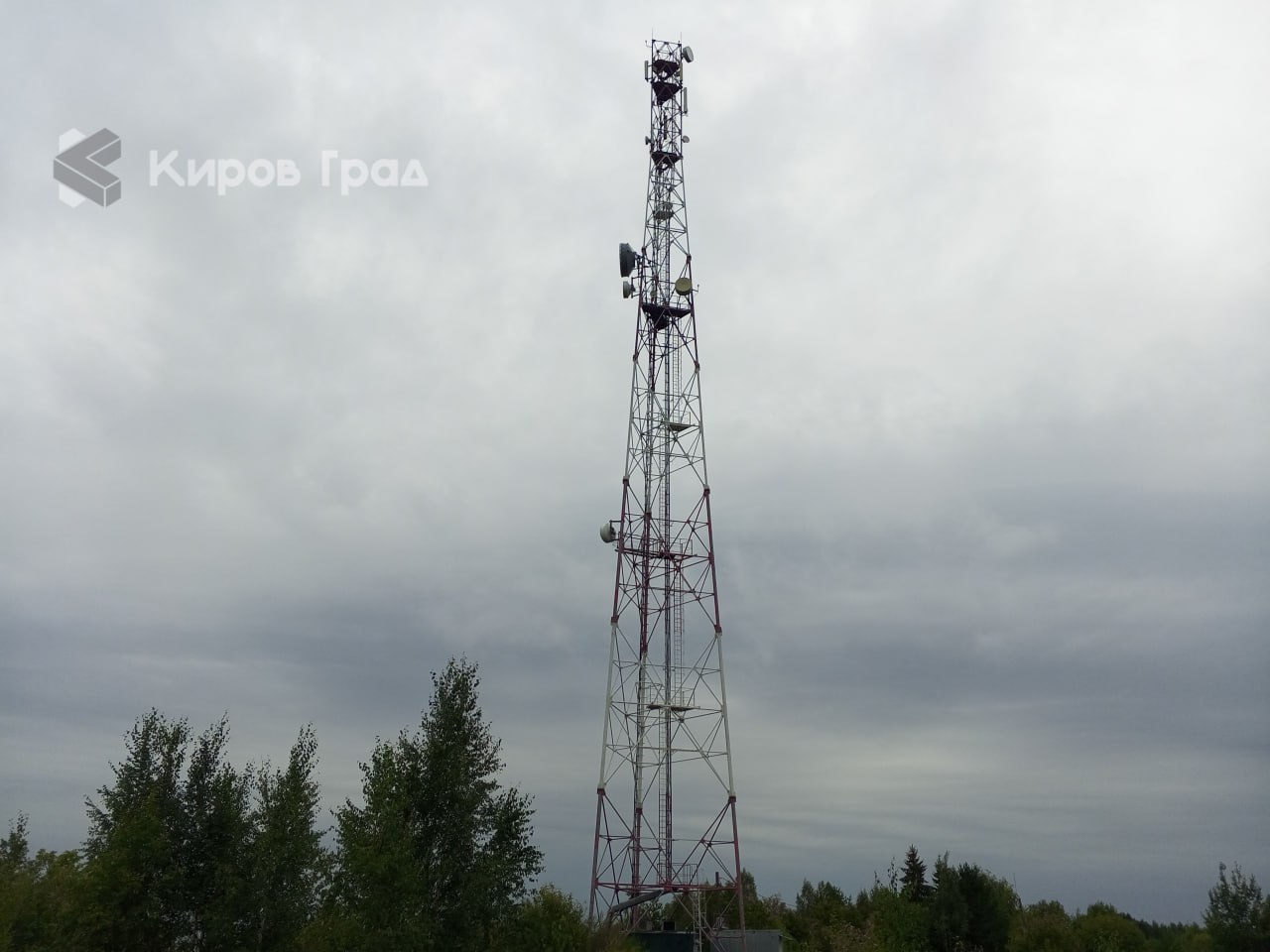 Больше голосов — больше шансов получить доступ в интернет