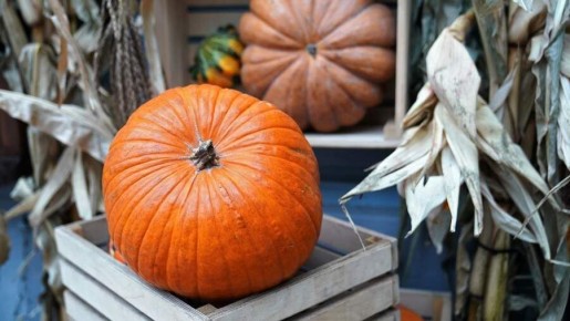 Тыквенный Спас: как осень вдохновляет на уют и творчество
